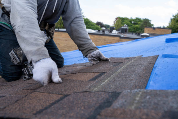 Fast & Reliable Emergency Roof Repairs in Kodiak, AK