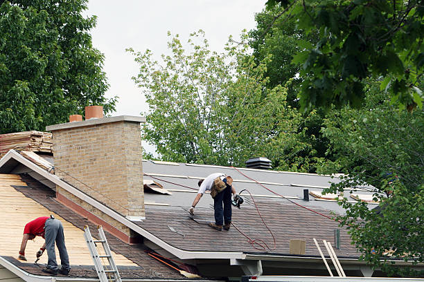 Best Roof Waterproofing  in Kodi, AK